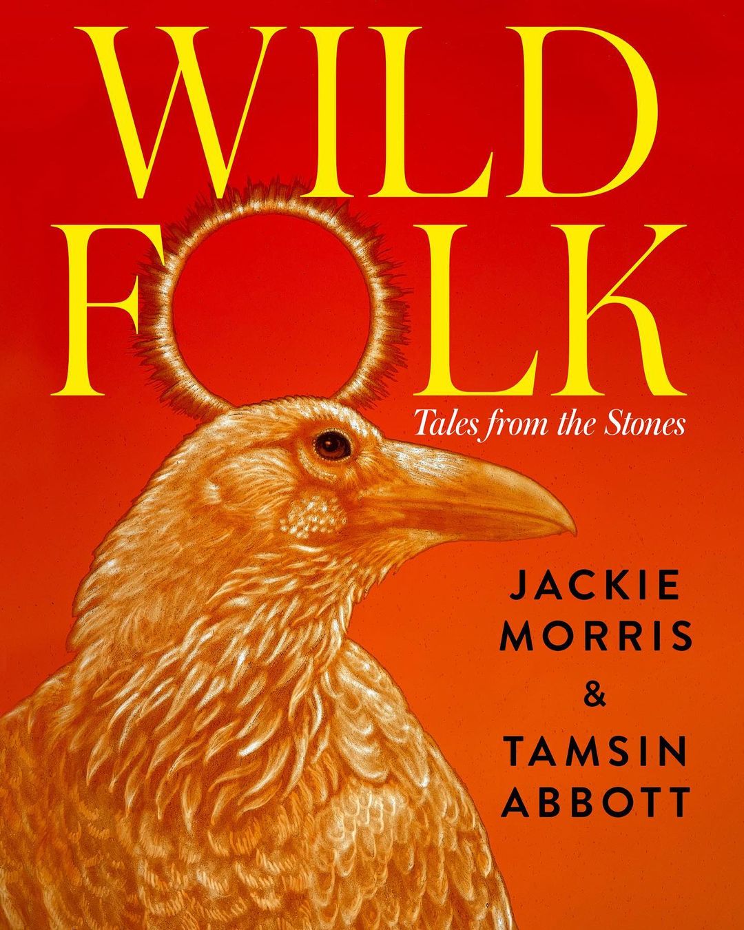 Wild Folk The Book Tamsin Abbott